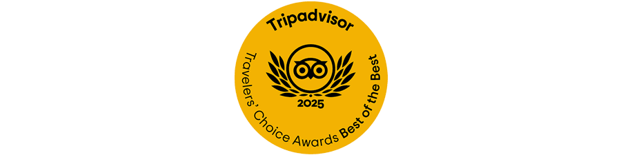 Tripadvisor Travelers' Choice Awards 2025 logo.