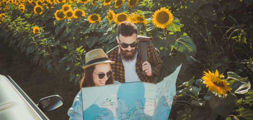 A couple studies a map in a field of sunflowers.