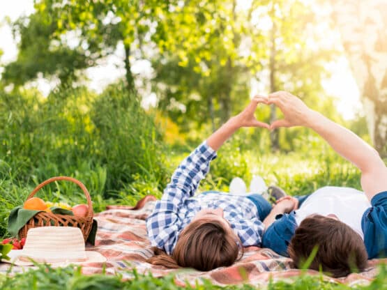 picnic