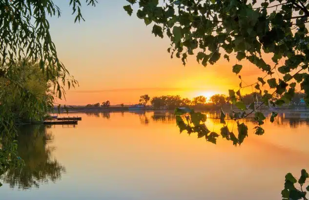 A serene sunset over a calm lake framed by leafy branches.