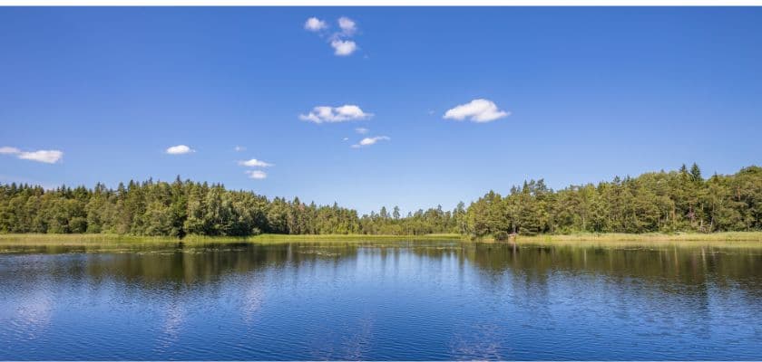 A calm lake bordered by trees, with blue sky and scattered clouds reflected on the water.