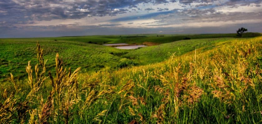 Rolling green Flint Hills prairie with tall grass, a small pond, and dramatic clouds over the Kansas landscape.